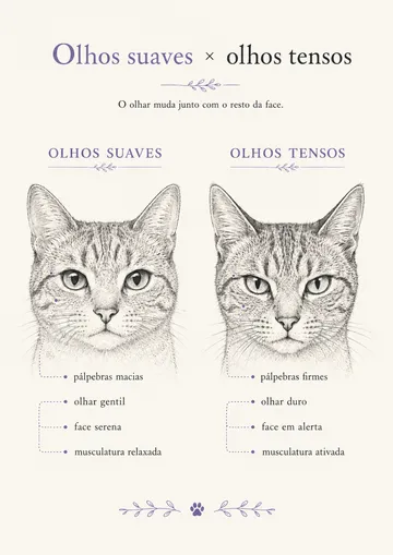 Página do guia comparando olhos suaves e olhos tensos no gato